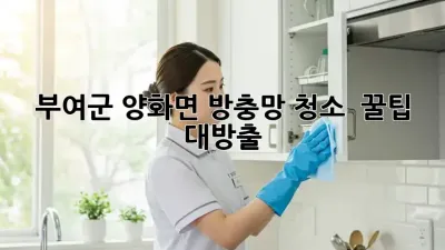 부여군 양화면 방충망 청소 ✨ 꿀팁 대방출! 🧽