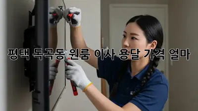 평택 독곡동 원룸 이사, 용달 가격 얼마?