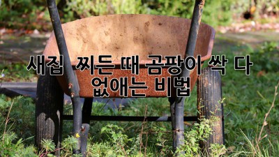 ✨ 새집 ✨ 찌든 때? 곰팡이? 싹- 다 없애는 비법! 🤫